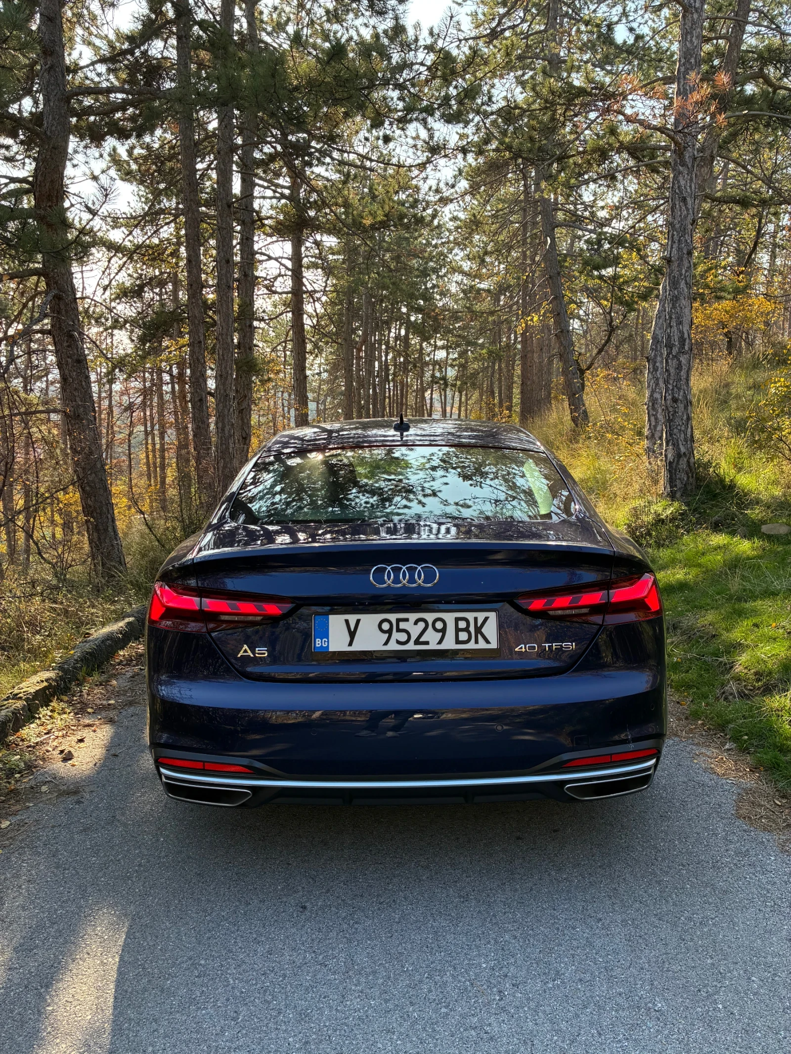 Audi A5 40 TFSI sportback | Mobile.bg   7