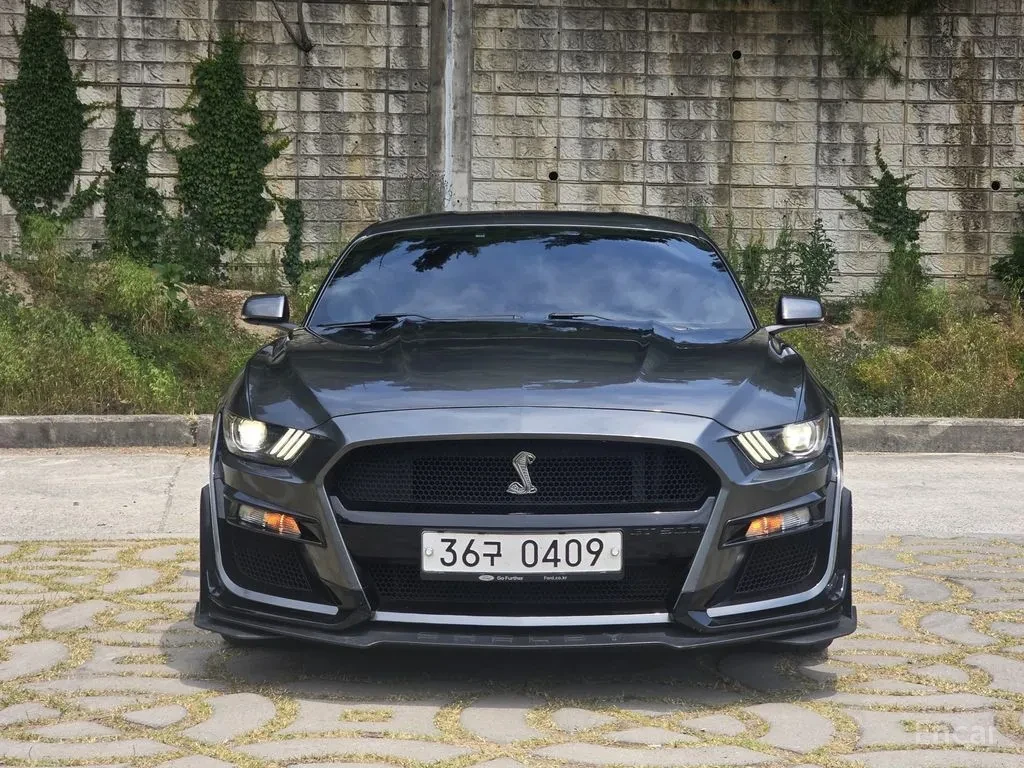 Ford Mustang SHELBY KIT* PERFORMANCE EXHASUT* 2КЛЮЧА* КРАЙНА ЦЕ, снимка 2 - Автомобили и джипове - 54694224