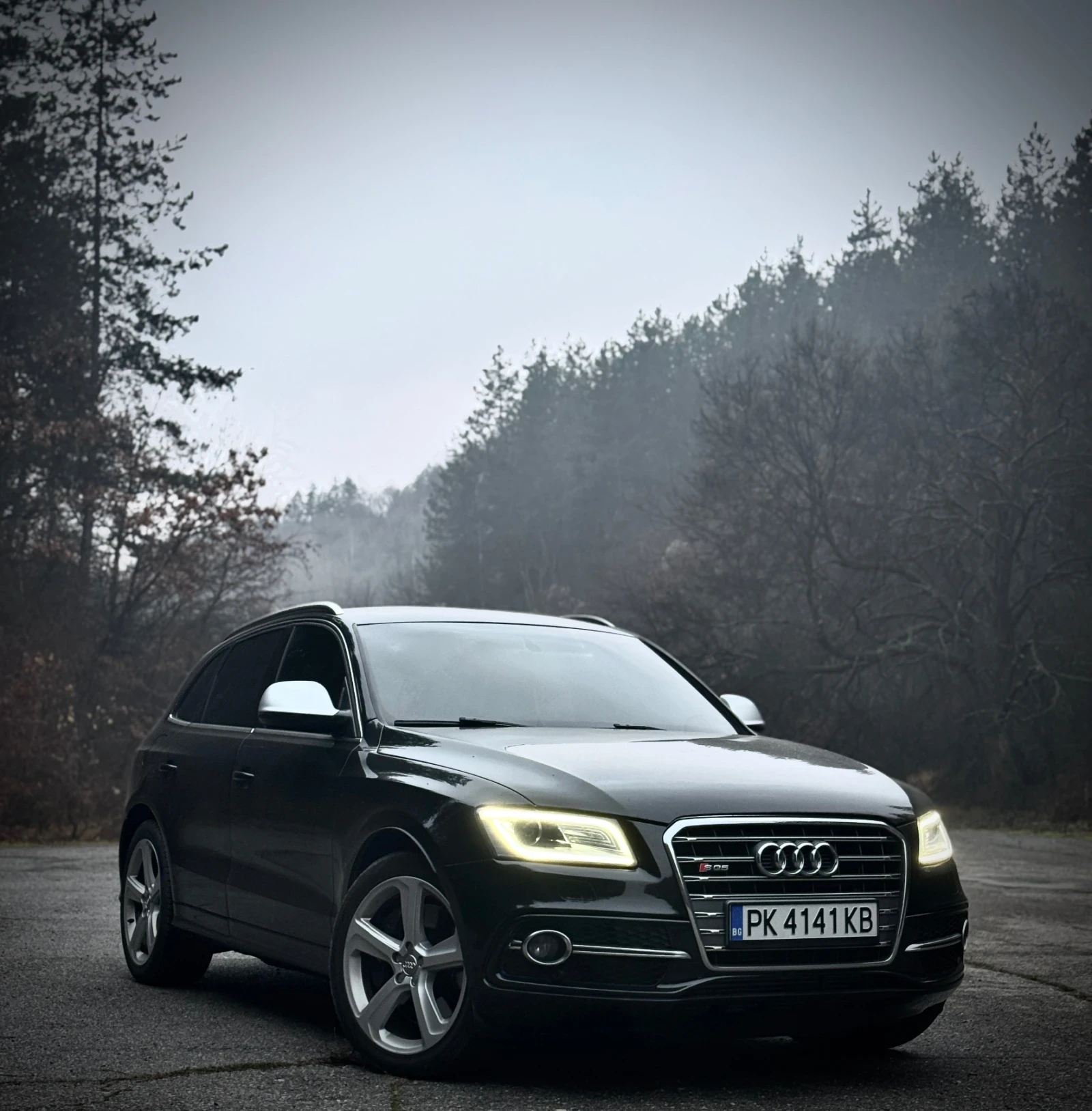 Audi SQ5, снимка 1