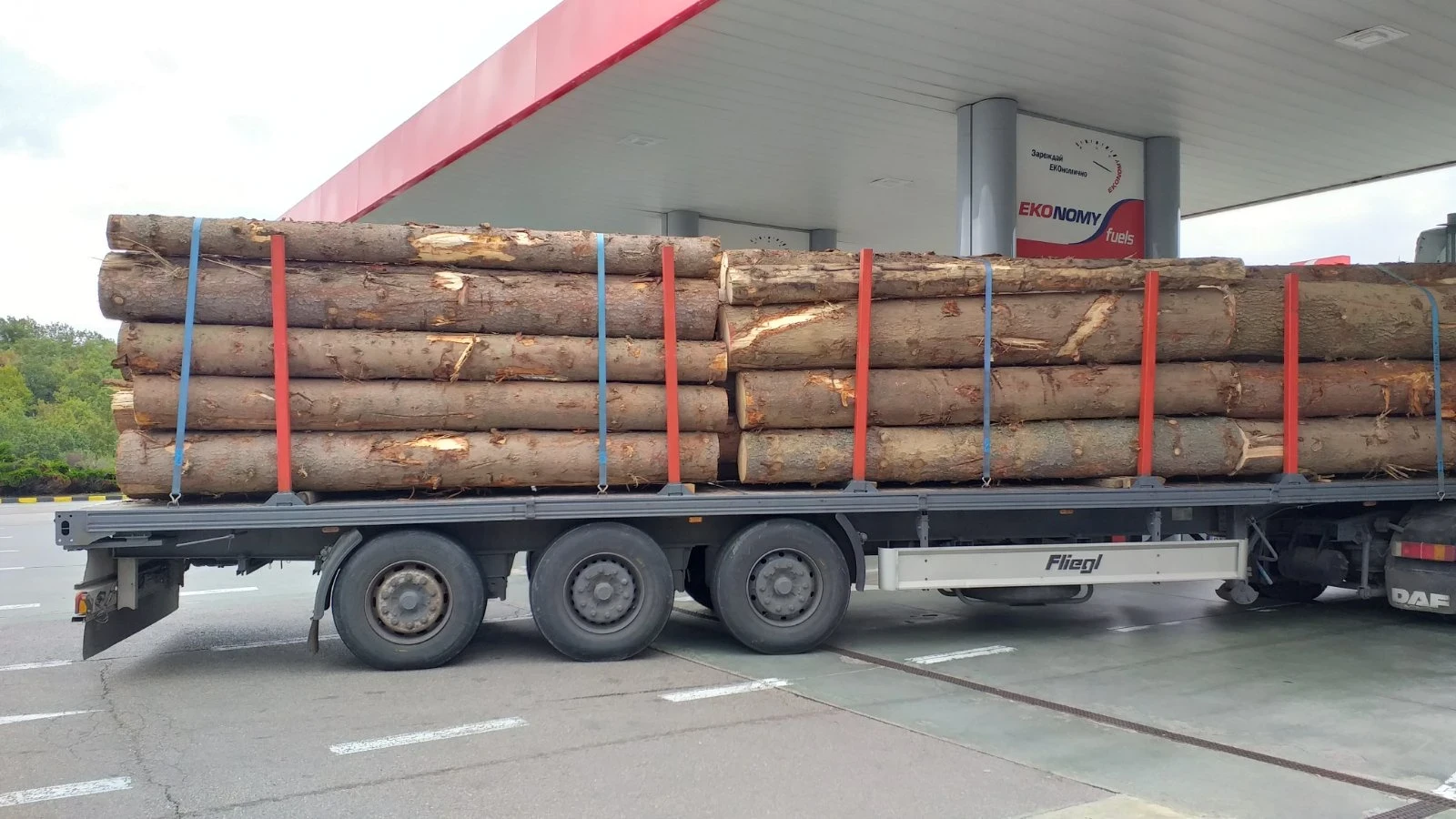 ����������� Fliegl | Mobile.bg � ����������� 4