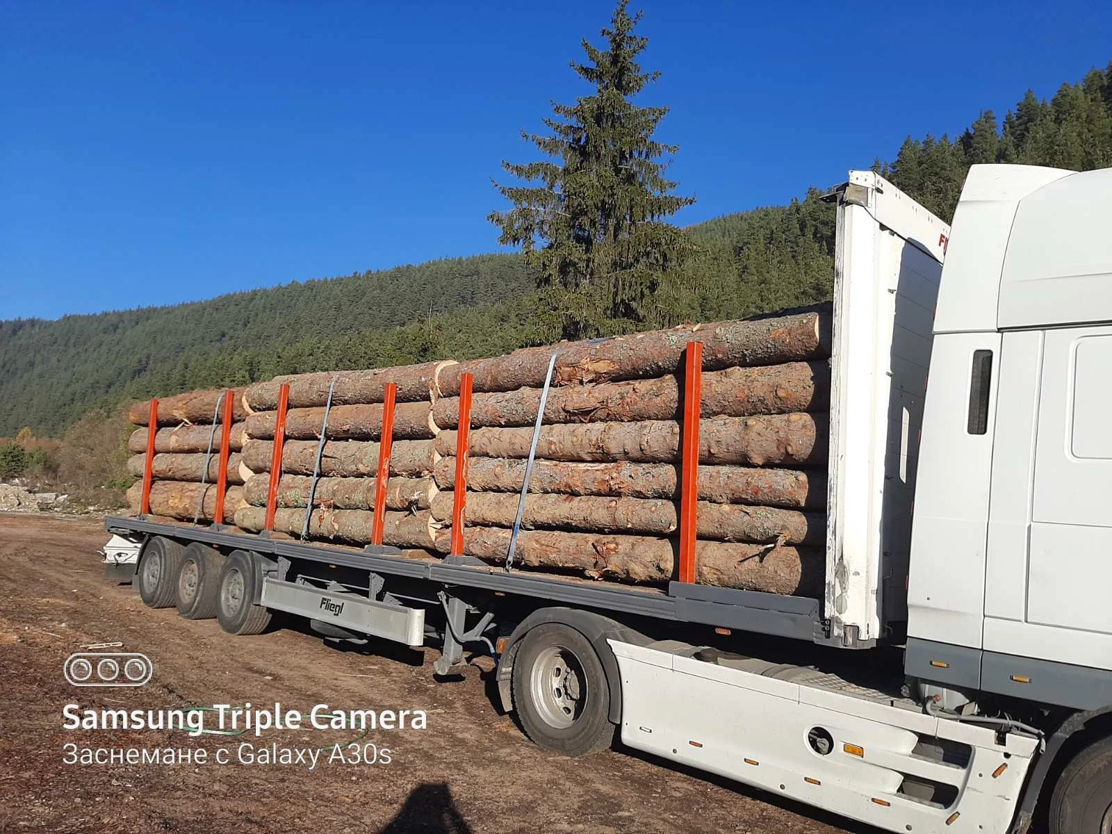 ����������� Fliegl | Mobile.bg � ����������� 2