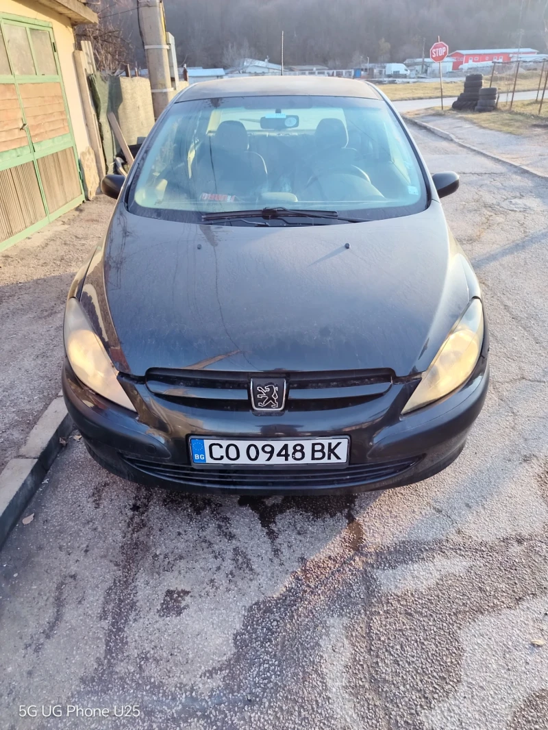 Peugeot 307 1.4, снимка 1 - Автомобили и джипове - 49144011