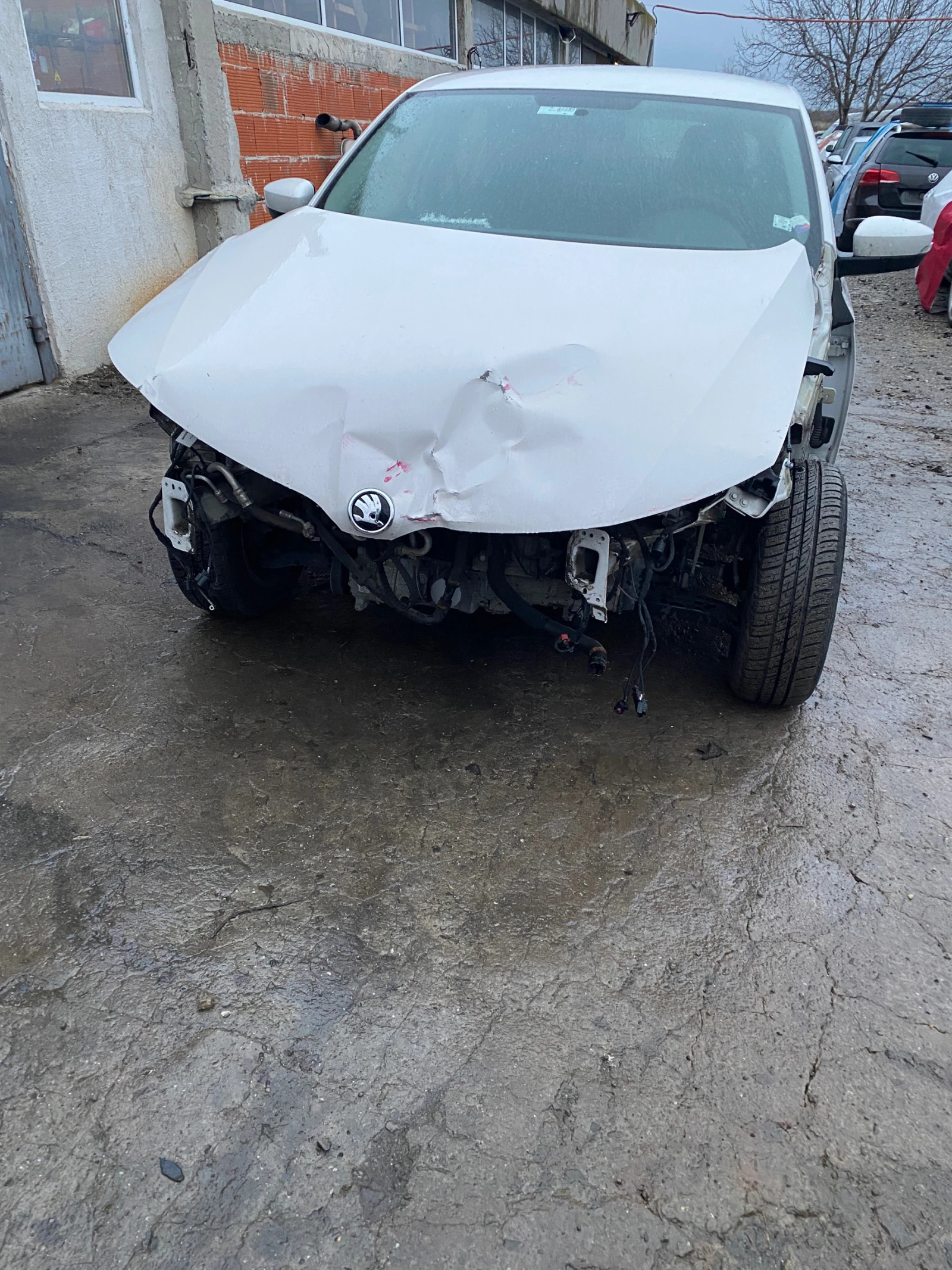 Skoda Rapid 1.0, снимка 1