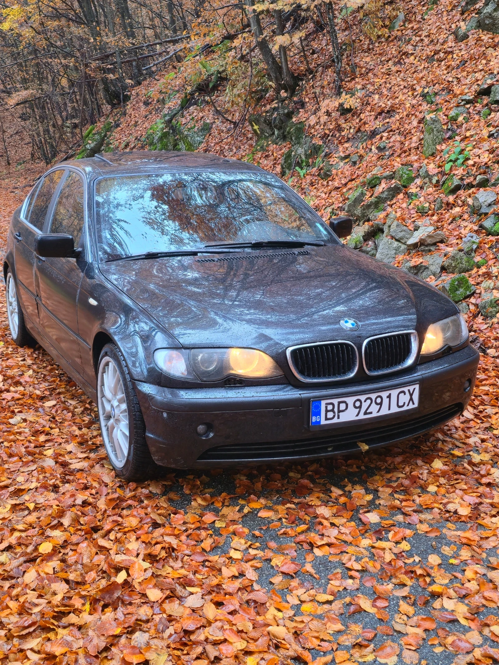 BMW 316 | Mobile.bg — изображение 2