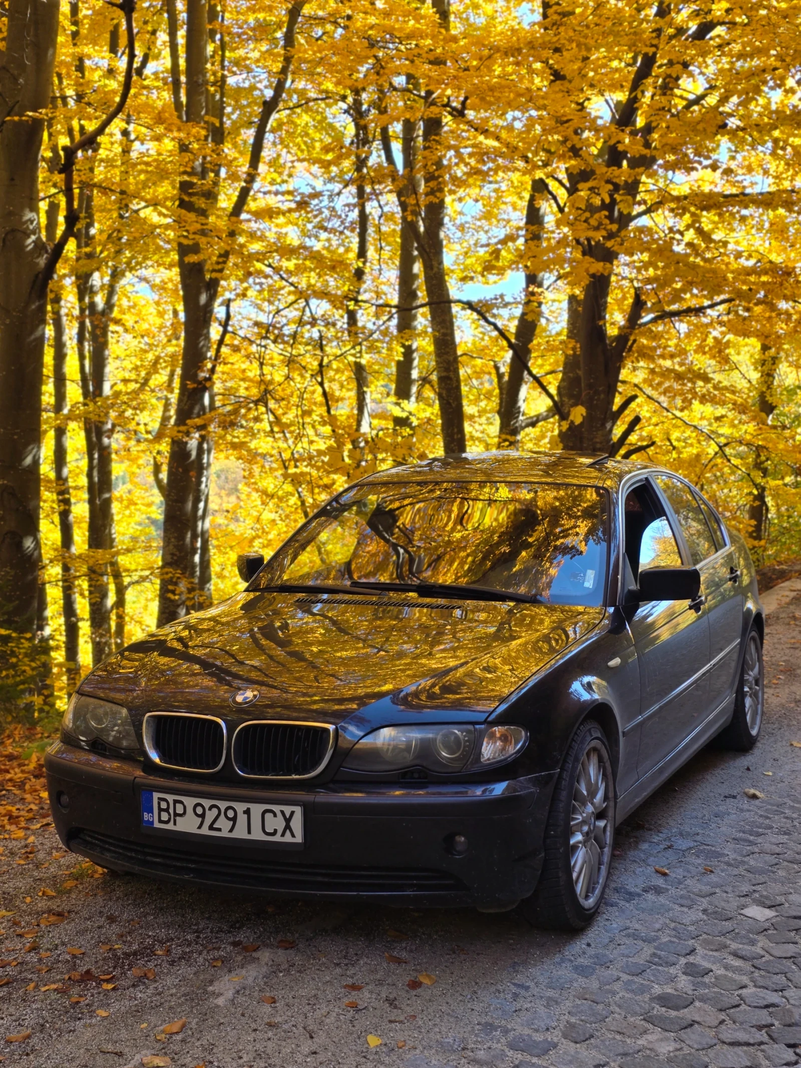 BMW 316 | Mobile.bg — изображение 4