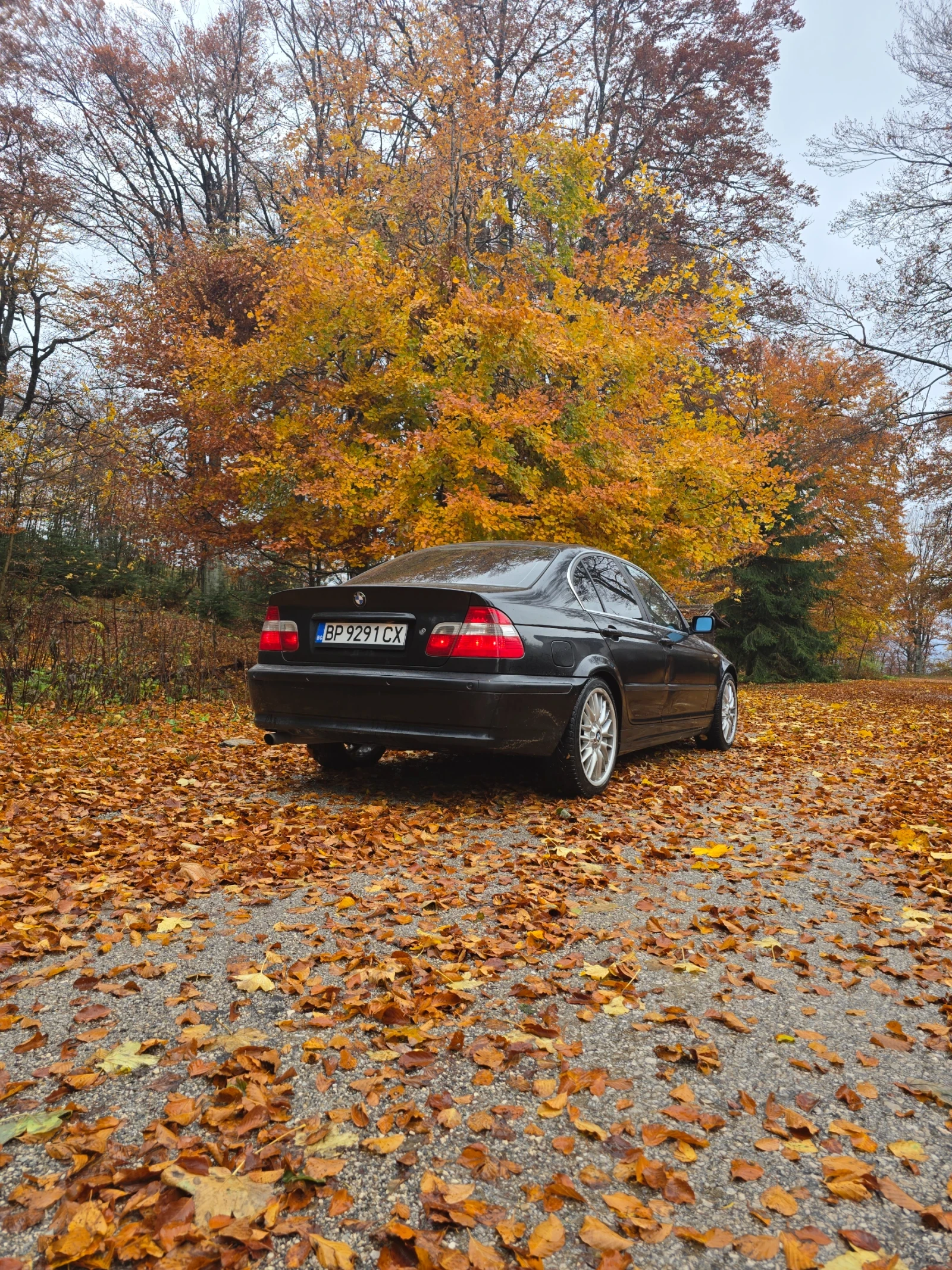 BMW 316 | Mobile.bg — изображение 1