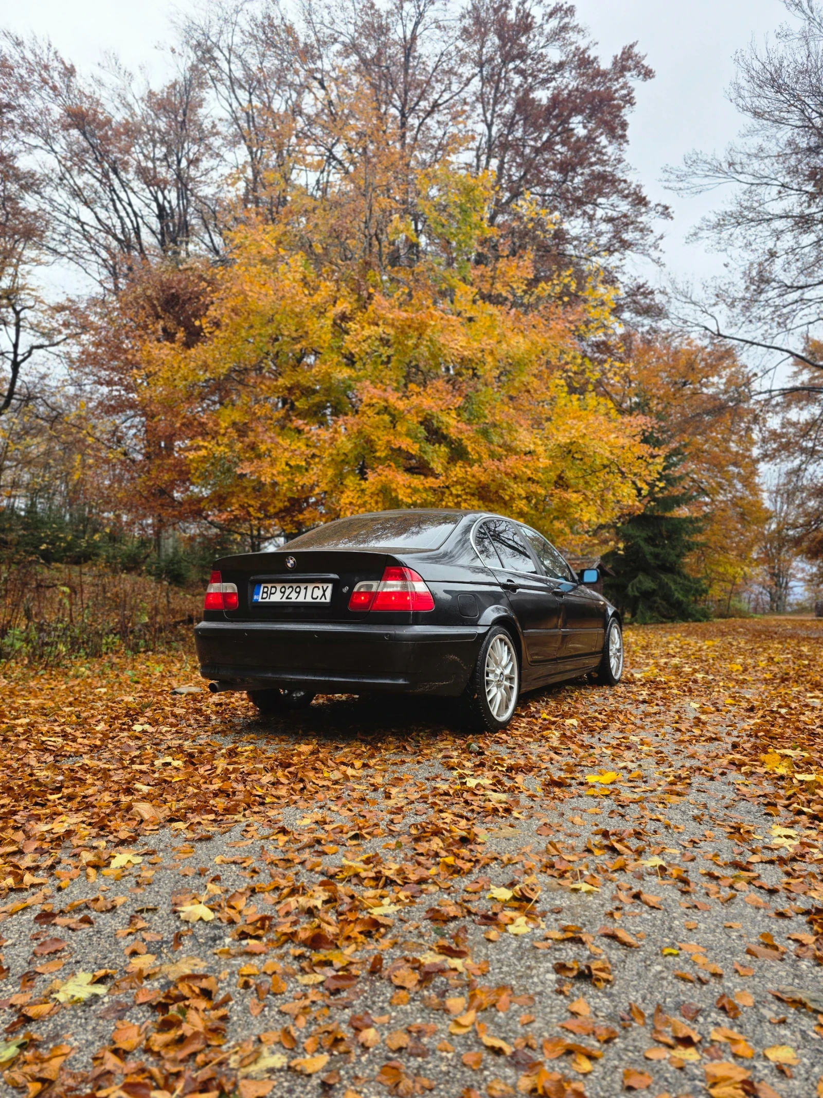 BMW 316 | Mobile.bg — изображение 3