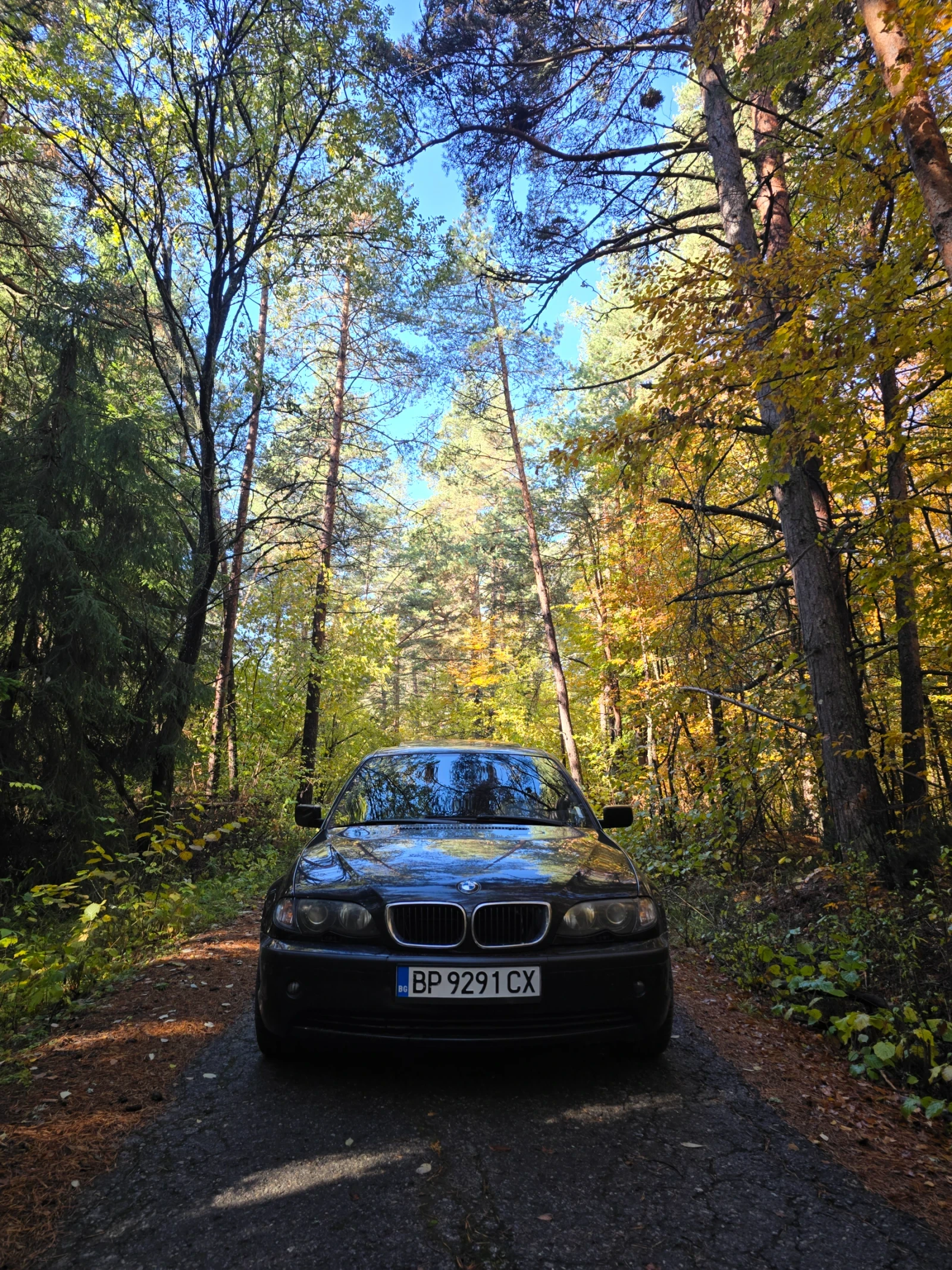 BMW 316 | Mobile.bg — изображение 6