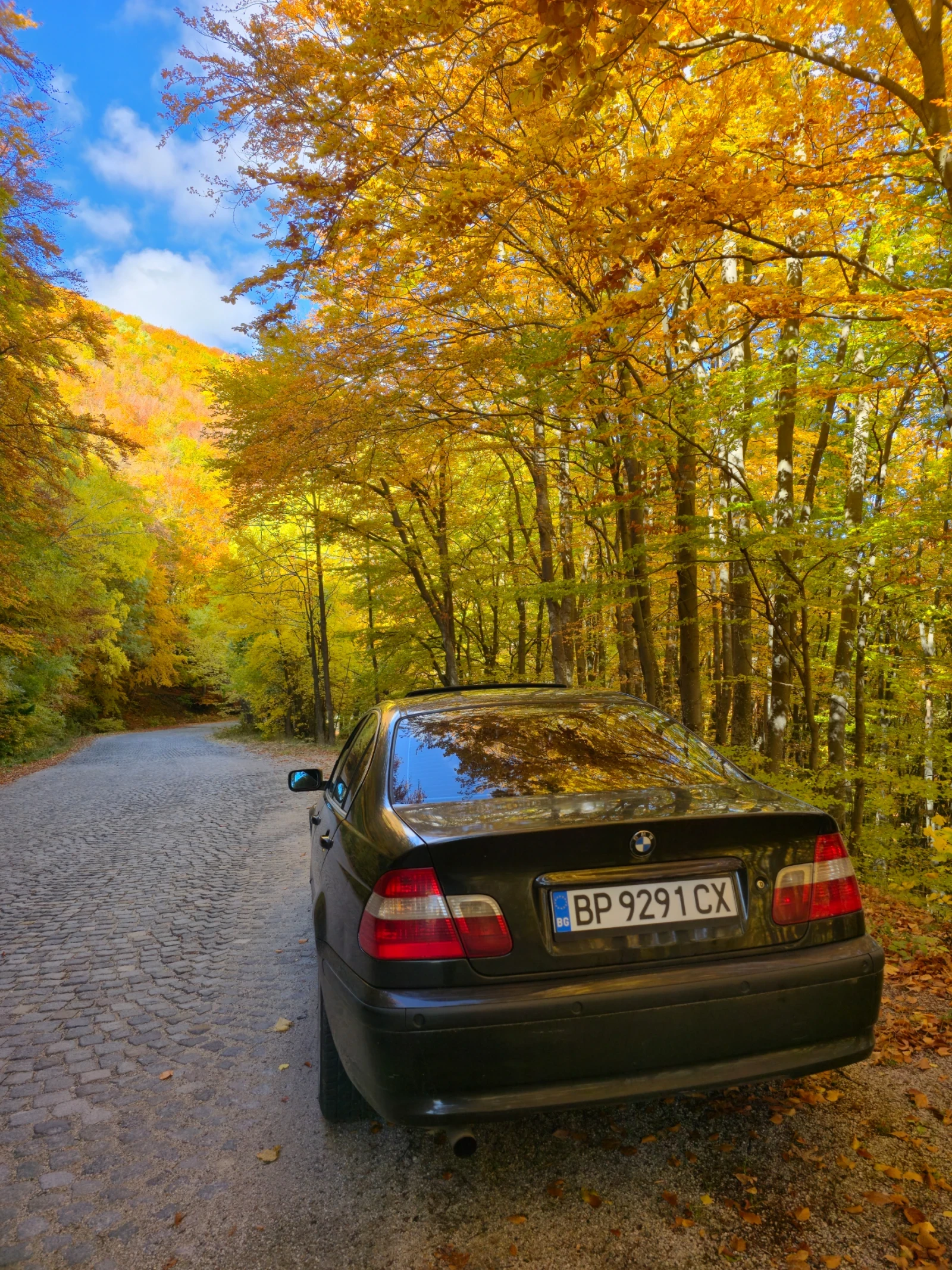 BMW 316 | Mobile.bg — изображение 5