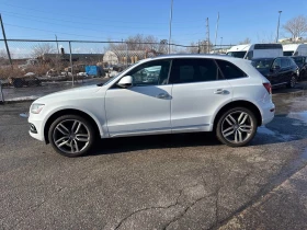 Audi Q5 * 3.0L TDI Progressiv * CARFAX * БЕЗ ПЪРВОНАЧАЛНА  - 12500 € / 24447.88 лв. - 30717189 2