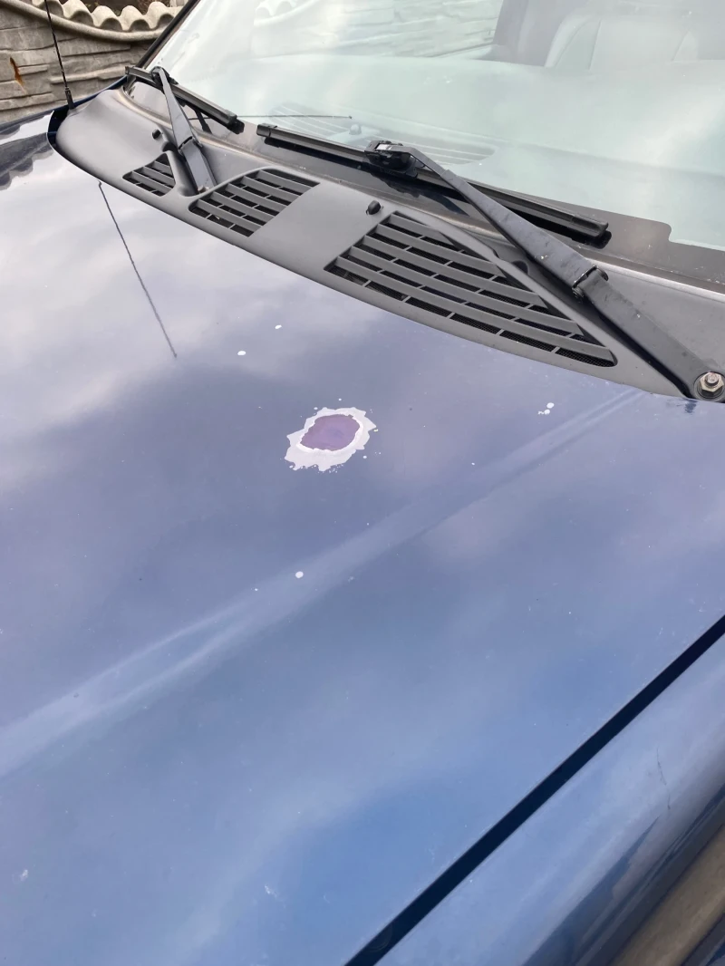 Chevrolet Trailblazer, снимка 5 - Автомобили и джипове - 52474312