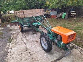  Goldoni  44  .     | Mobile.bg    4