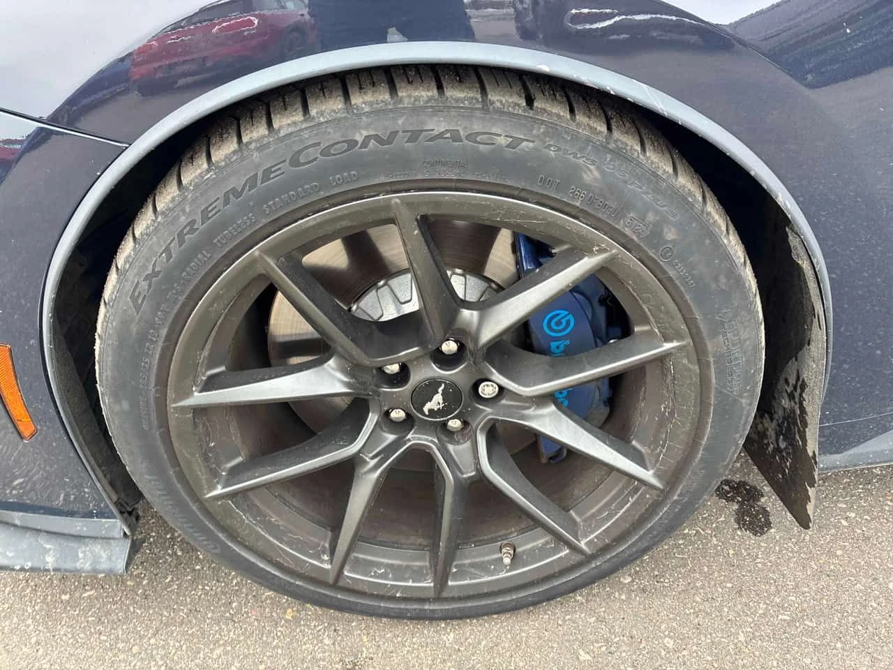 Ford Mustang * Dark Horse * CARFAX * ЦЕНА ДО БГ, снимка 6 - Автомобили и джипове - 53988725