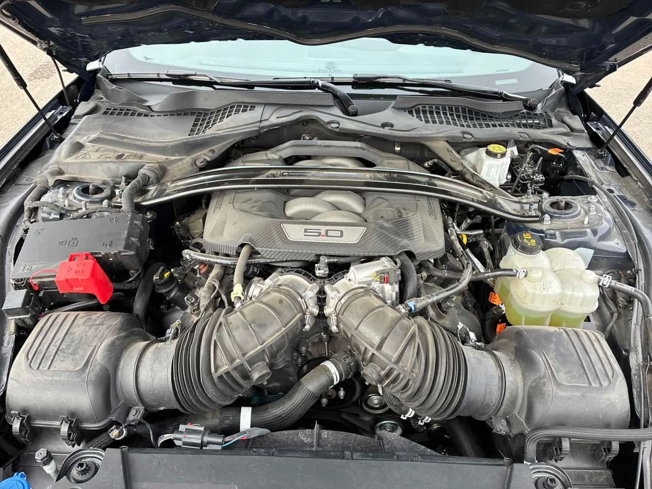 Ford Mustang * Dark Horse * CARFAX * ЦЕНА ДО БГ, снимка 7 - Автомобили и джипове - 53988725