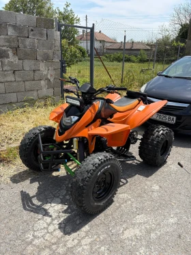     Shineray XY 250