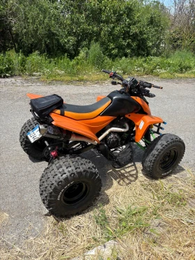 Shineray XY 250 | Mobile.bg    3