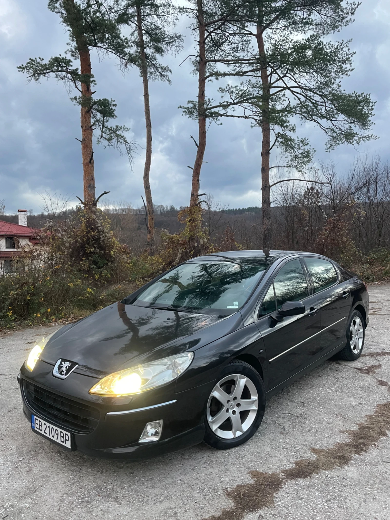 Peugeot 407 2.0 Diesel | Mobile.bg � ����������� 1