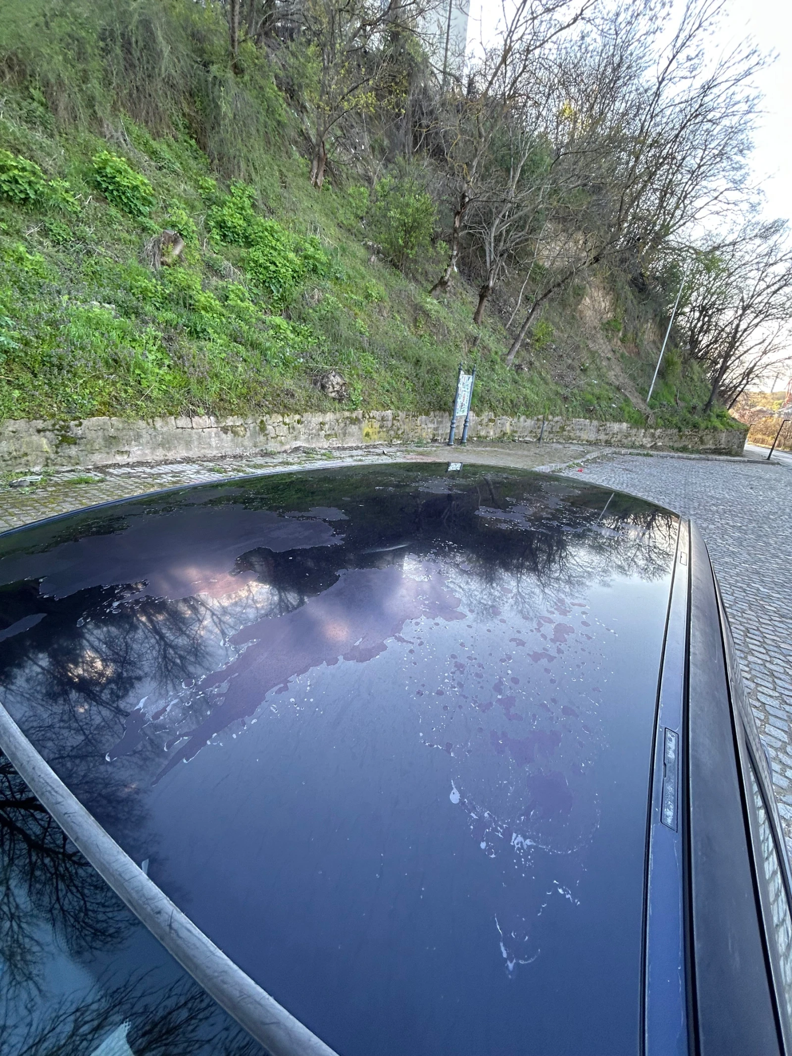 BMW 318 E91 | Mobile.bg � ����������� 7