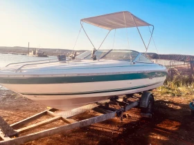       Sea Ray