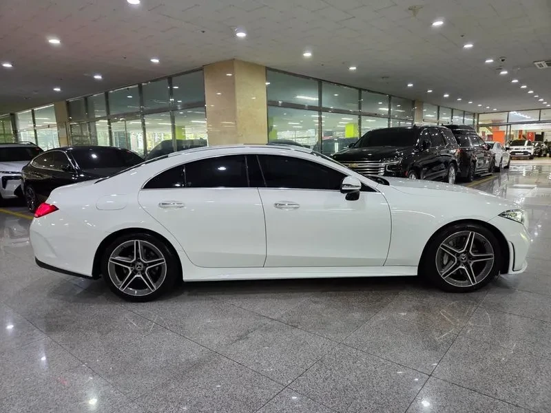Mercedes-Benz CLS 300 Amg Line, снимка 5 - Автомобили и джипове - 55940338