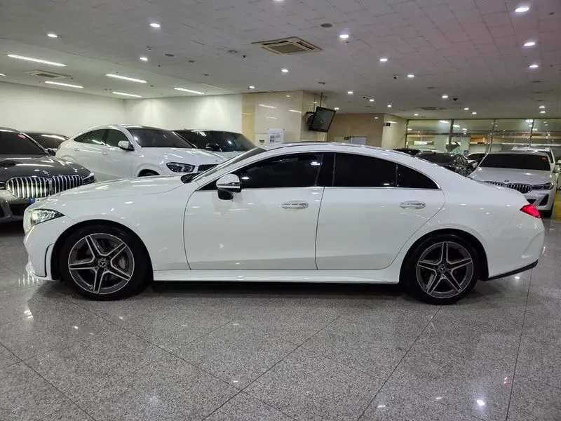 Mercedes-Benz CLS 300 Amg Line, снимка 3 - Автомобили и джипове - 55940338