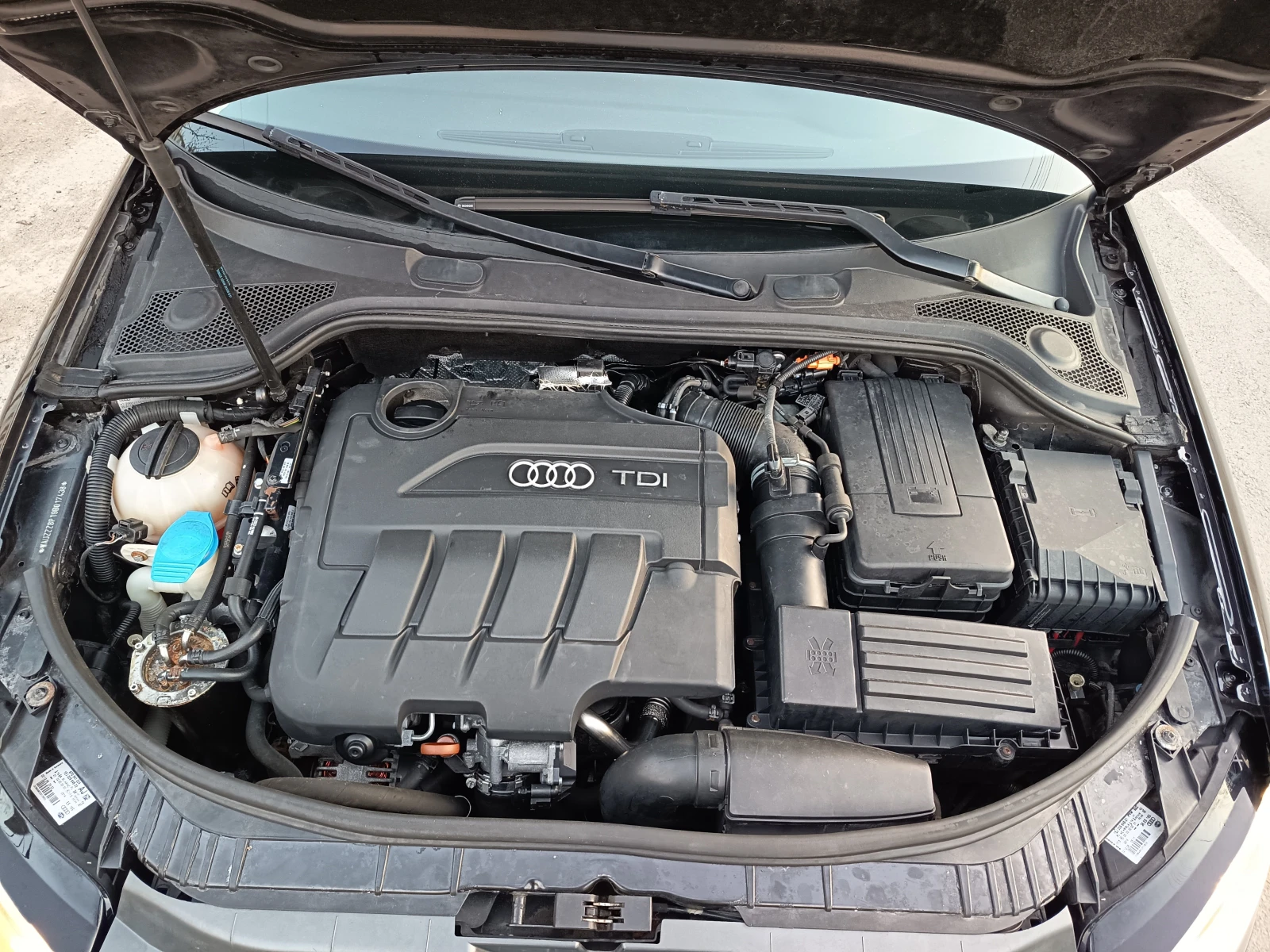 Audi A3 2.0 TDI 170к.с., снимка 11 - Автомобили и джипове - 54152124
