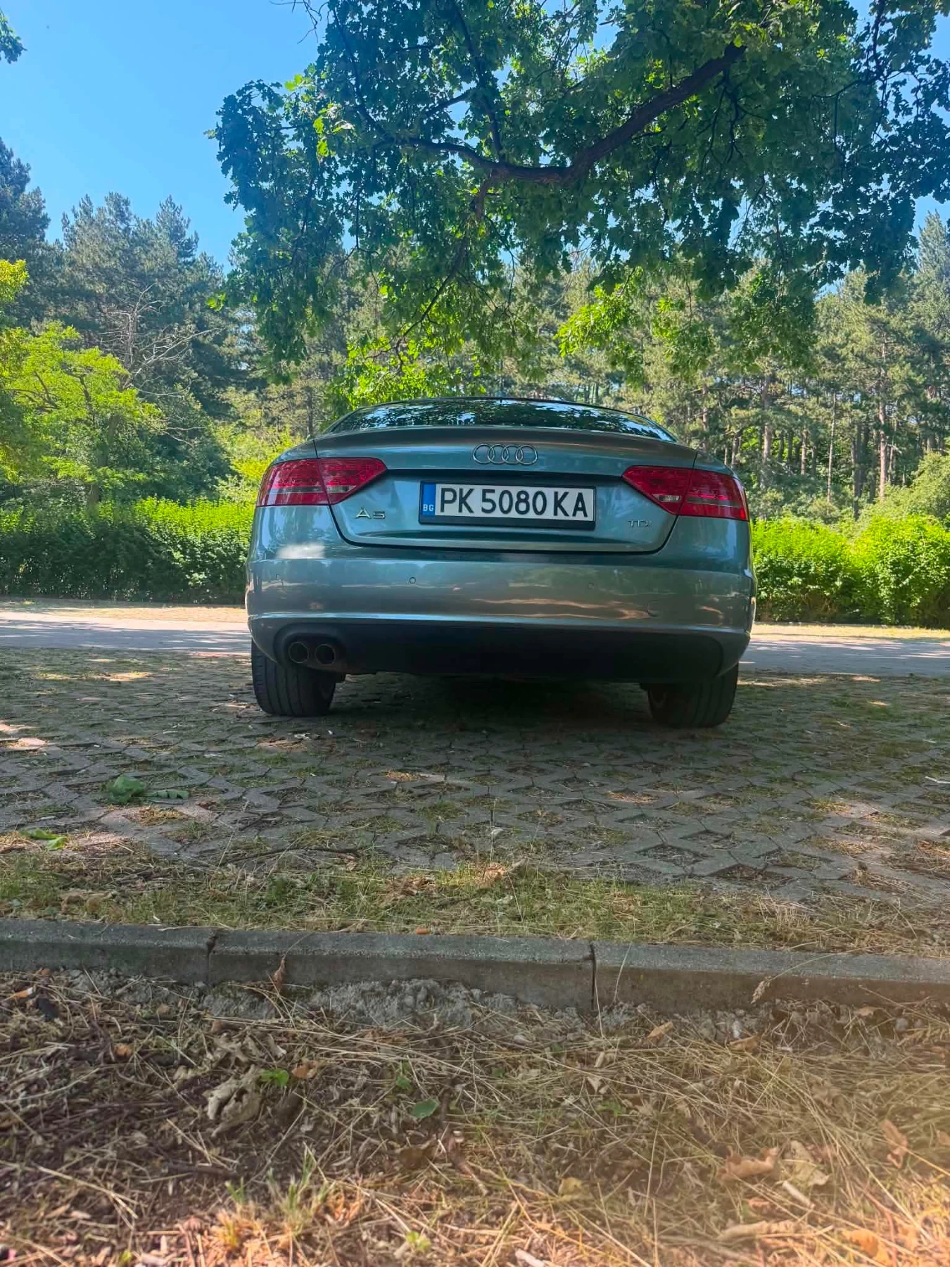 Audi A5 2.0 170, снимка 15 - Автомобили и джипове - 55835676