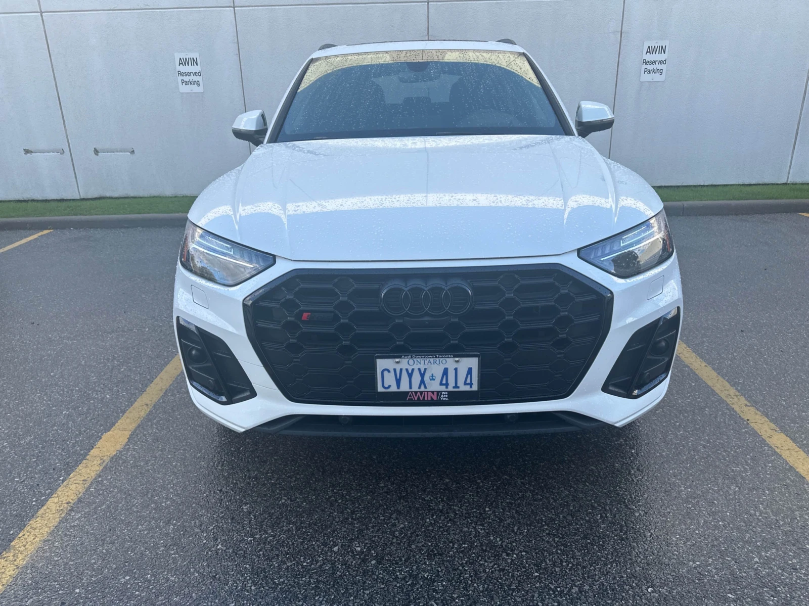 Audi SQ5 TECHNIK CARFAX АВТО КРЕДИТ  - изображение 2