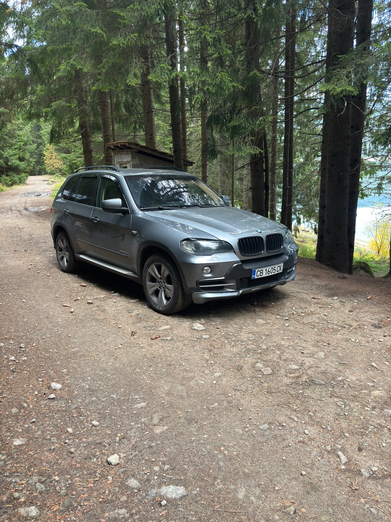 BMW X5, снимка 4 - Автомобили и джипове - 53759363