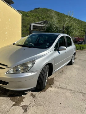     Peugeot 307