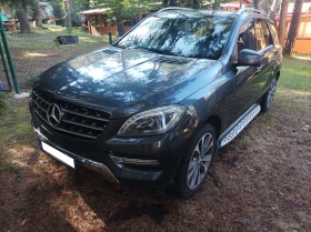 Mercedes-Benz ML 250 4x4, снимка 2