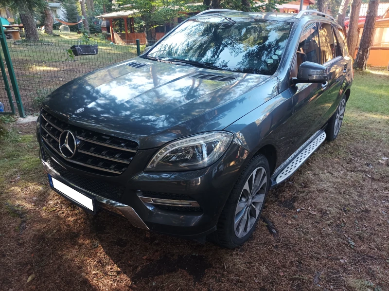 Mercedes-Benz ML 250 4x4, снимка 2 - Автомобили и джипове - 47925081