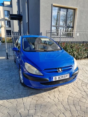  Peugeot 307