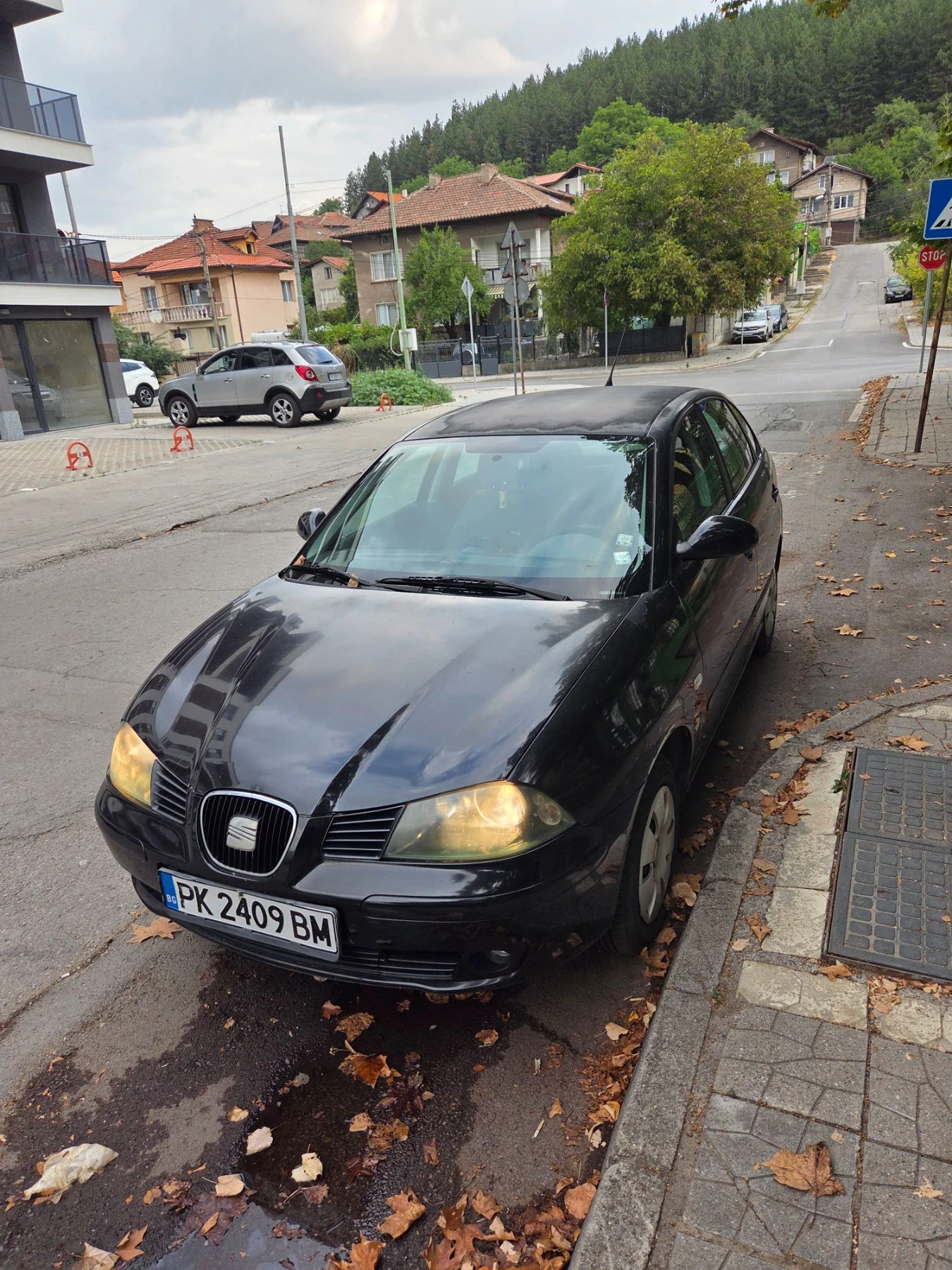 Seat Ibiza