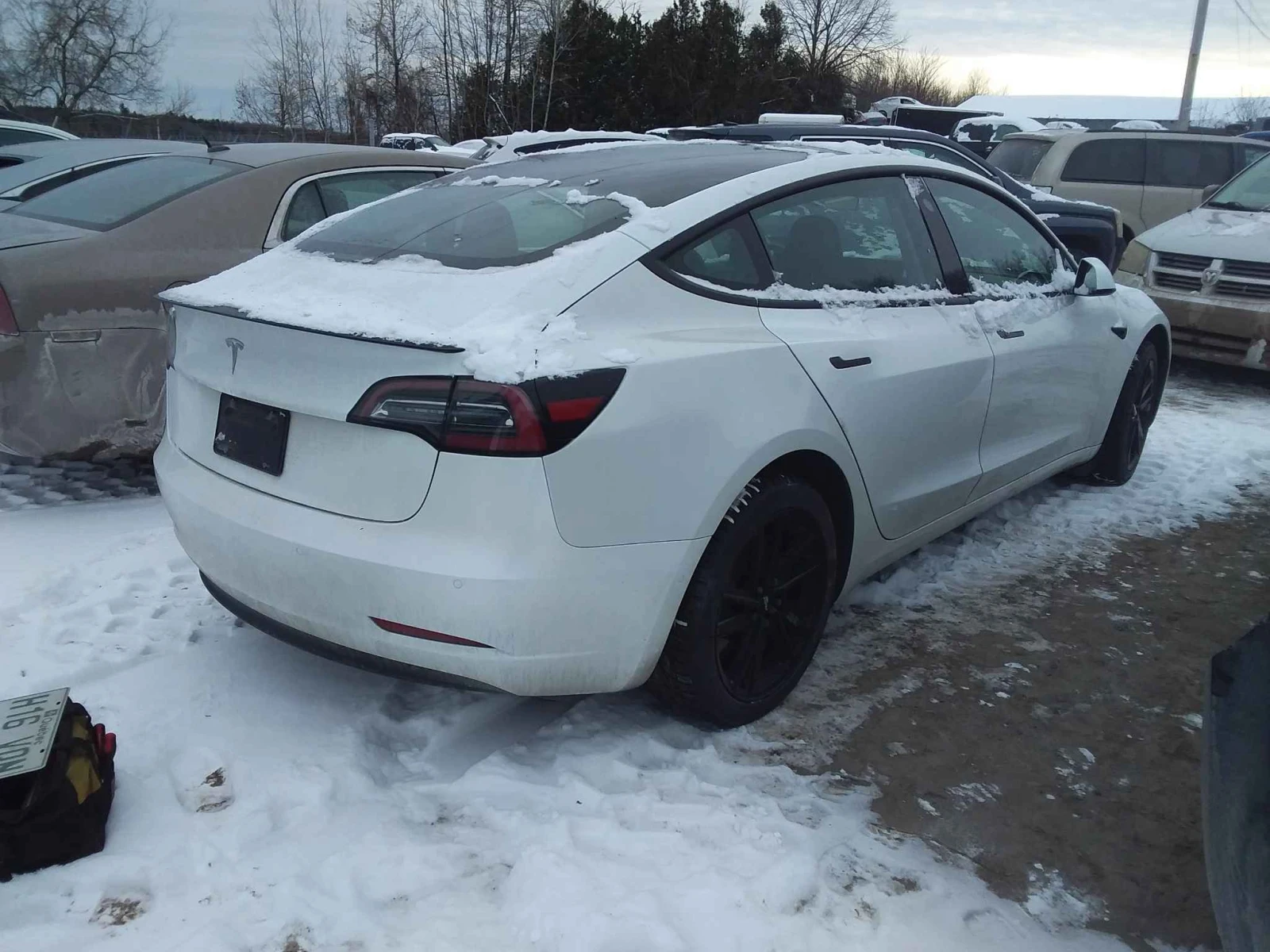 Tesla Model 3 Standart Plus  - изображение 3