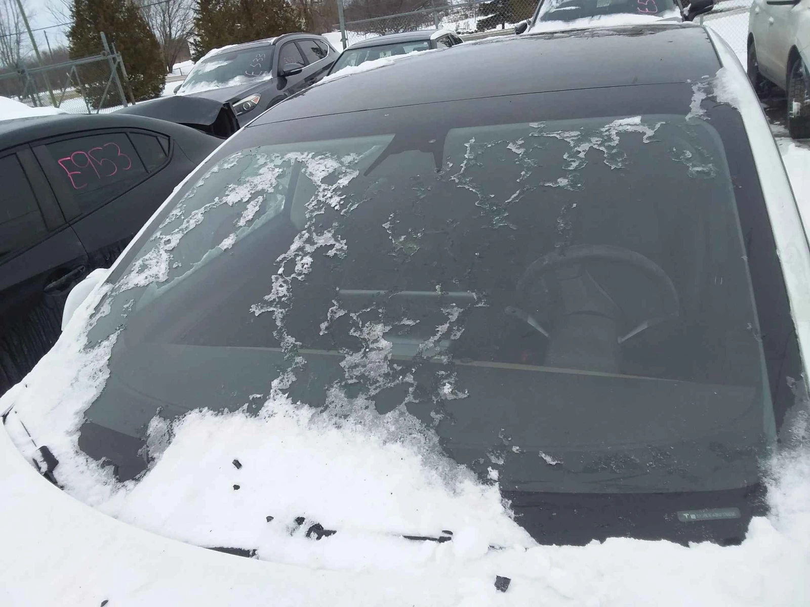 Tesla Model 3 Standart Plus  - изображение 4