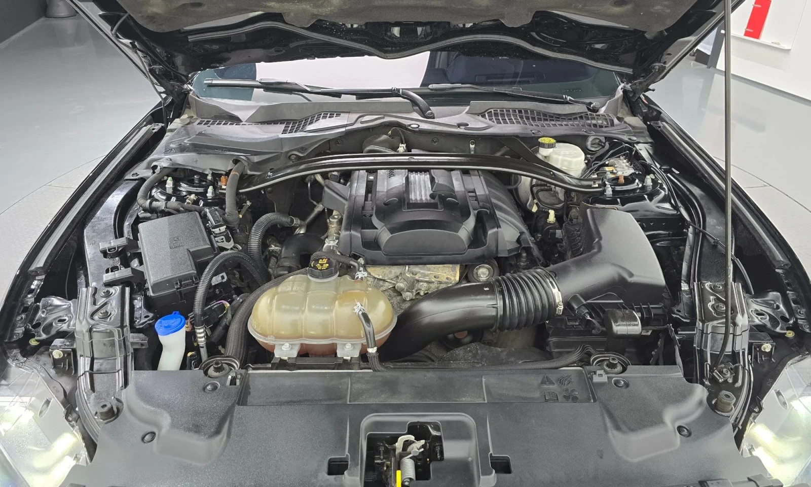 Ford Mustang 2.3 Eco Boost\Подгреви\Обдухване, снимка 6 - Автомобили и джипове - 55623161
