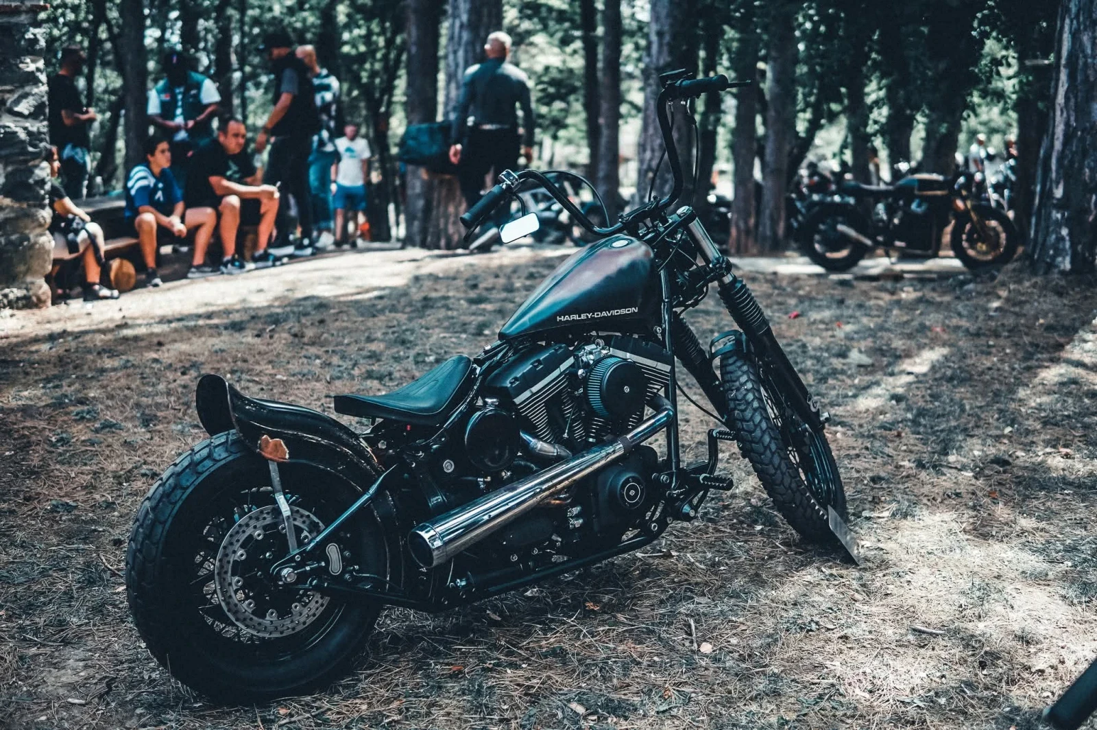 Harley-Davidson Softail | Mobile.bg � ����������� 3