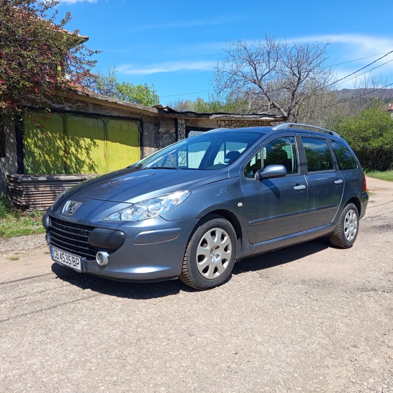 Peugeot 307 1.6HDI 90HP, снимка 2 - Автомобили и джипове - 52748952