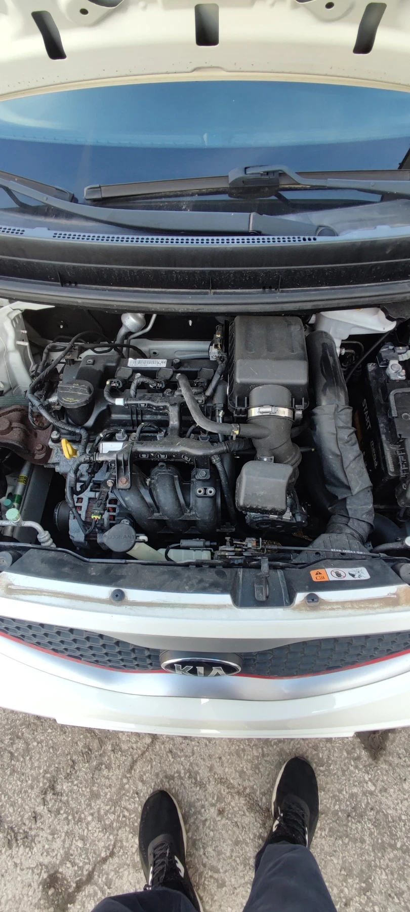 Kia Picanto | Mobile.bg   11