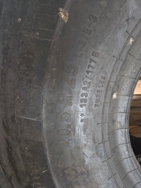 ������ ����