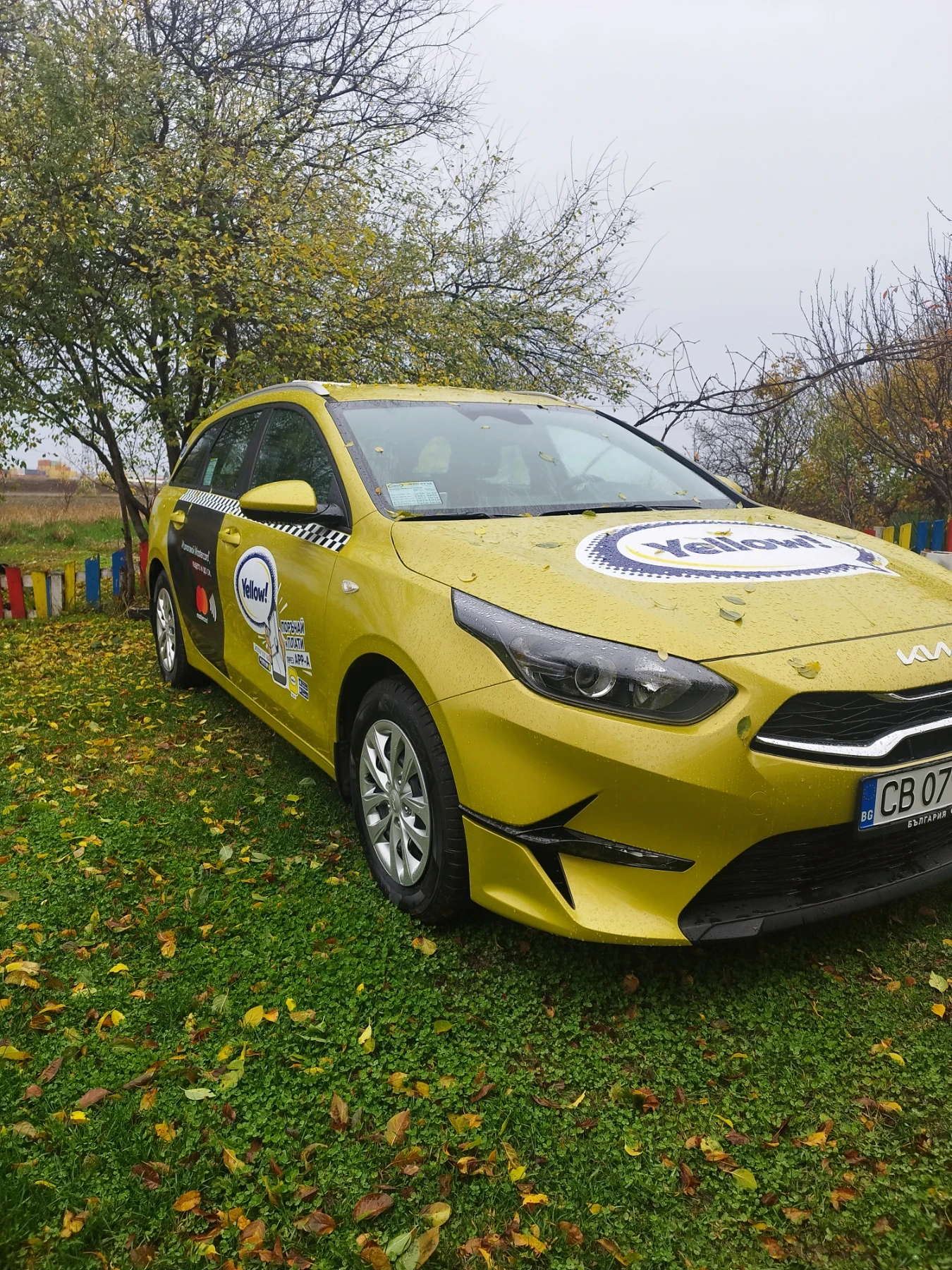 Kia Ceed  - изображение 2