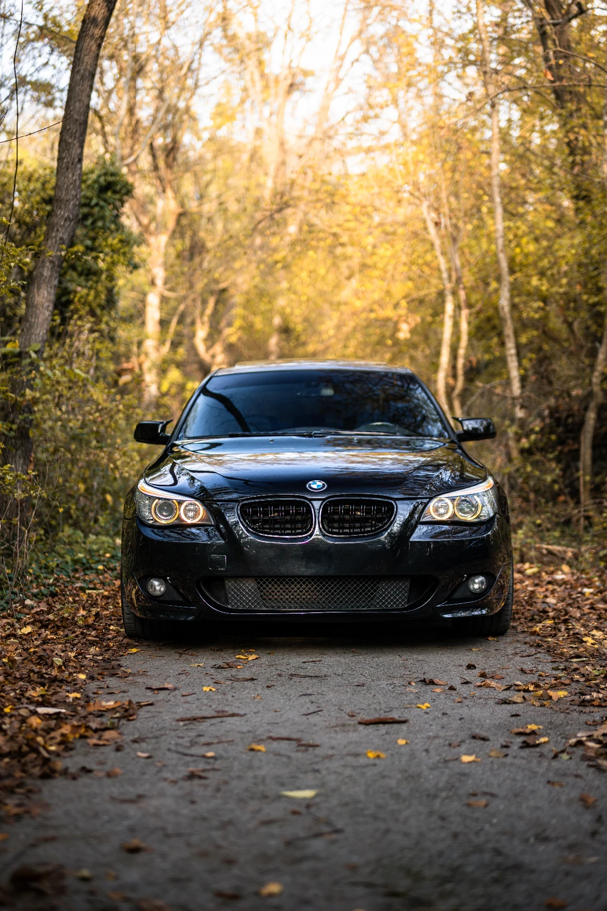 BMW 525 3.0/M57/M-Tech/Dynamic Bi-Xenon/Shadow Line | Mobile.bg � ����������� 4
