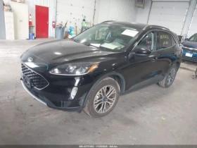 Ford Escape SEL* ������* ��������* ���� �� ������* BUY NOW | Mobile.bg � ����� ������ 2