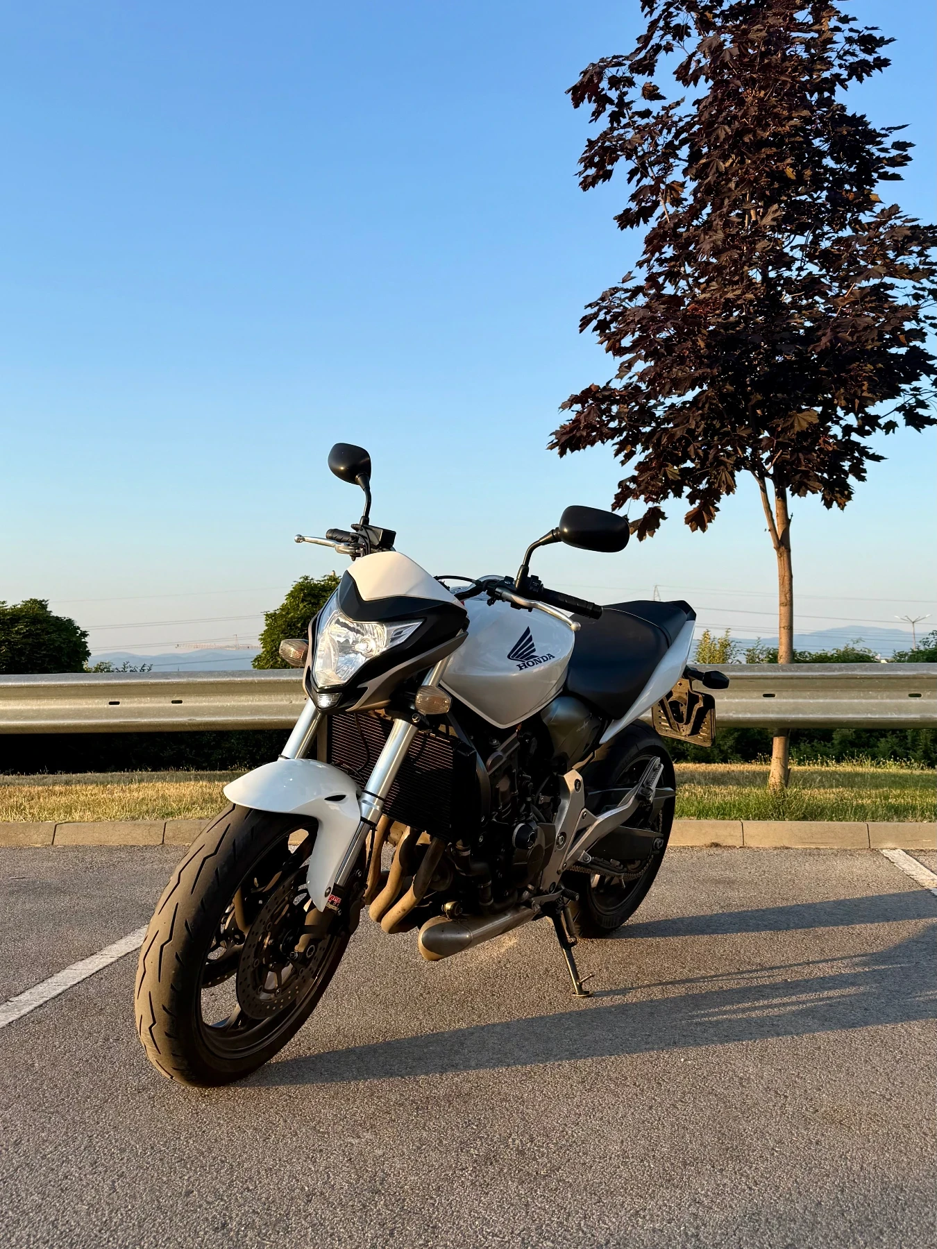 Honda Hornet Hornet 600 PC41 с всичко сменено
