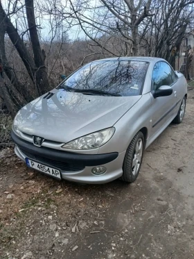 ����� �� �������� �� Peugeot 206 ��