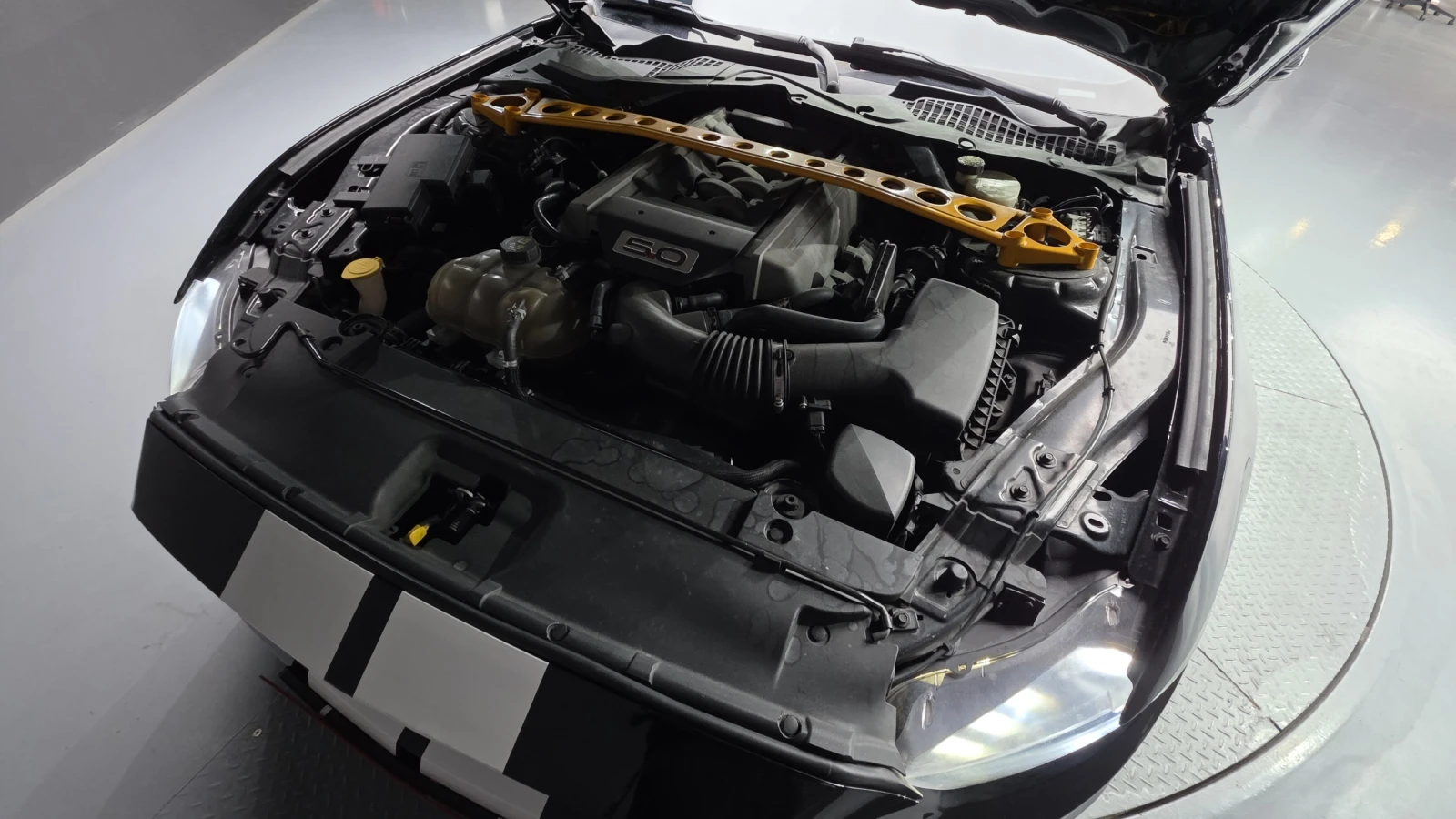 Ford Mustang 5.0 GT* 350 SHELBY* DISTRONIK* ОБДУХ* КРАЙНА ЦЕНА, снимка 17 - Автомобили и джипове - 54628180