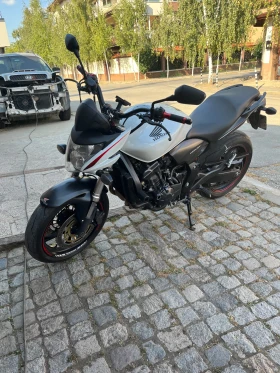  Honda Hornet