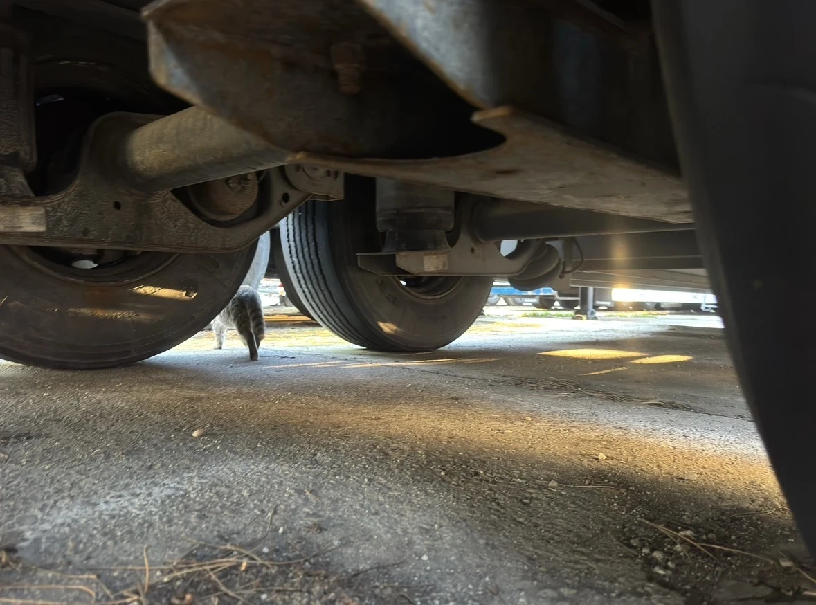 Полуремарке Schwarzmuller J-Serie КАПАЦИ SAF, снимка 9 - Ремаркета - 53848995