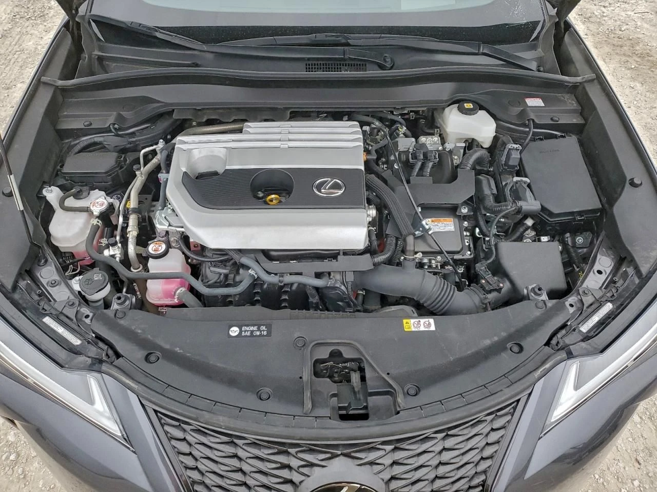 Lexus UX 250h | Mobile.bg � ����������� 12